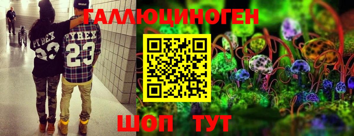 Подольск  Галлюциногенные грибы Psilocybe  Вход с VPN 